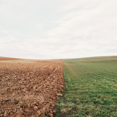 Why Internal Comms is the Social Business Stepchild